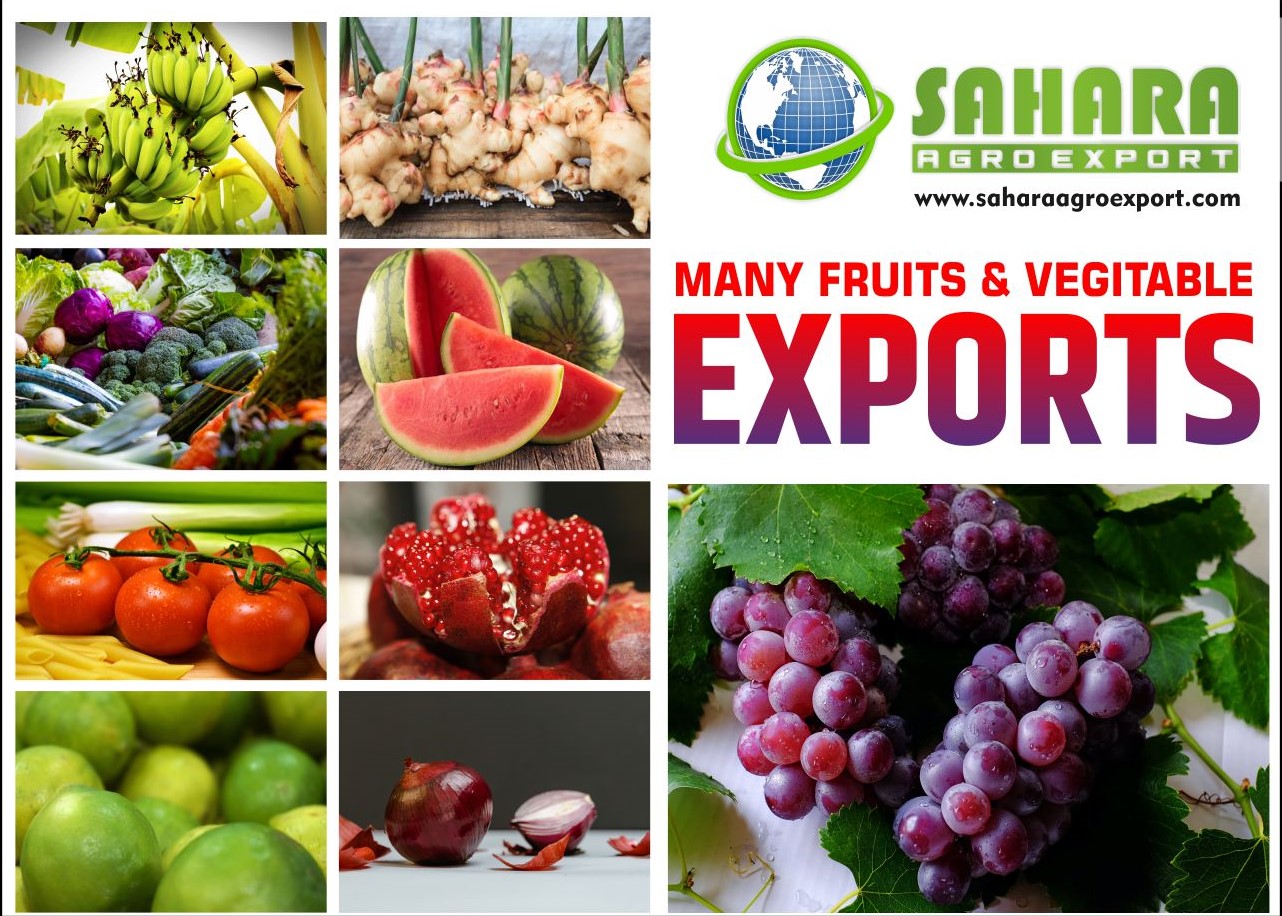 Sahara Agro Export